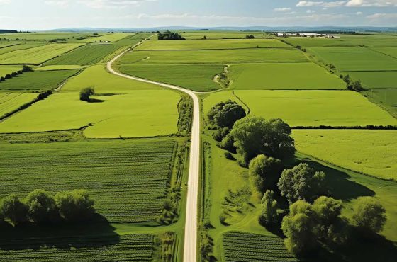 Yatırımda Narla’yı Tercih Etmek İçin 10 Neden