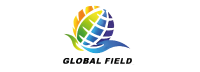 GLOBAL-FIELD