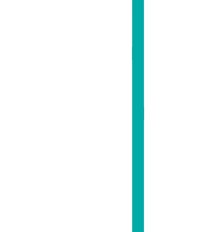 Anasayfa